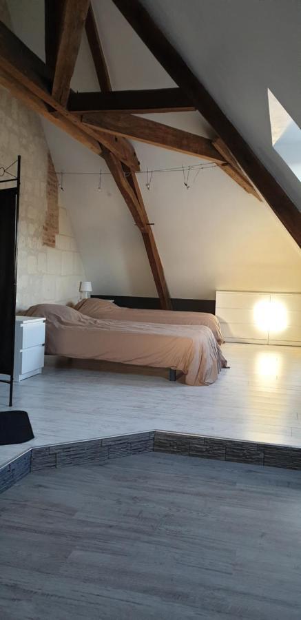 Bourgueil - Grand Appartement Proche Cnpe Chinon 外观 照片